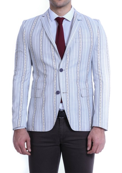 Wss Wessi Çizgili Slimfit Ceket