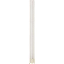 MASTER PL-L 36W/865/4P 1CT/25 6500K Beyaz Enerji Tasarruflu Ampul