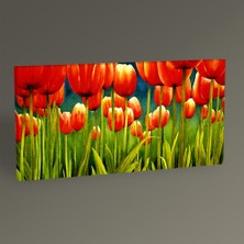 Tablo360 Kırmızı Laleler Tablo  60 x 30