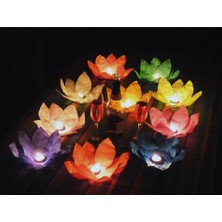 Toptancı Kapında Nilüfer (Çiçek) Su Feneri (3 Adet)