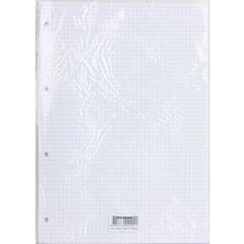 Dilman Kolej Yedeği A4 Kareli Beyaz