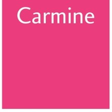Letraset Promarker R156 Carmıne
