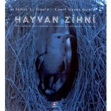 Hayvan Zihni Hayvanlarda Akıl Yürütme ve Problem Çözme Becerisi Üzerine