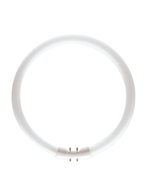 MASTER TL5 Circular 40W/830 1CT/10 3000K Günışığı Floresan Ampul