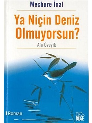 Ya Niçin Deniz Olmuyorsun?