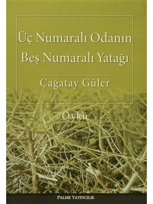 Üç Numaralı Odanın Beş Numaralı Yatağı