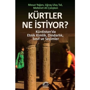 Kürtler Ne İstiyor?