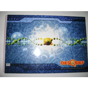 Profesyonel Resim Defteri 35*50Cm12+8+10=30 Yp