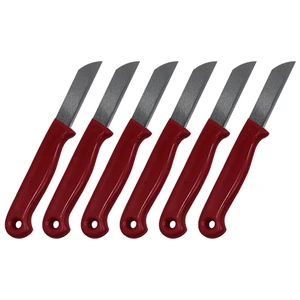 Pratik Şeyler 6'Lı Meyve Ve Piknik Bıçağı Kırmızı-Yeşil-Mavi