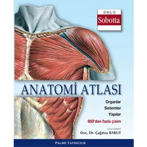 Anatomi Atlası Ünlü Sobotta Çizimleri