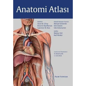 Anatomi Atlası (Gilroy)