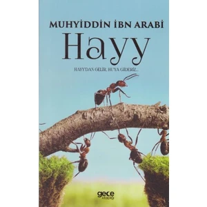 Hayy - Muhyiddin İbn Arabi