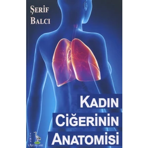 Kadın Ciğerinin Anatomisi