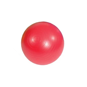 Mambo Max Ab Gym Ball 55 Cm