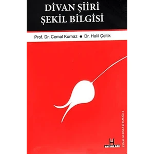 Divan Şiiri Şekil Bilgisi