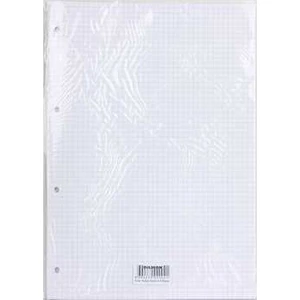 Kolej Yedeği A4 Kareli Beyaz