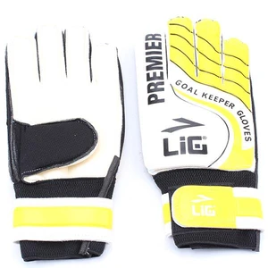 Kaleci Eldiveni Premier