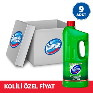 Çamaşır Suyu Dağ Esintisi 2000 Ml x 9 Adet