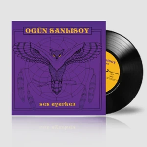Ogün Sanlısoy - Sen Uyurken (Plak)
