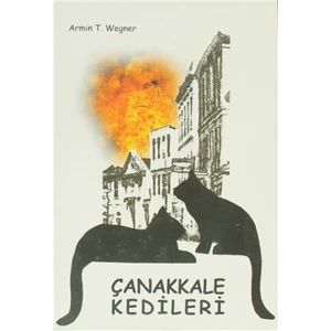 Çanakkale Kedileri