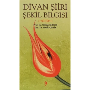 Divan Şiiri Şekil Bilgisi