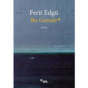 Bir Gemide