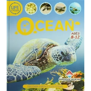 Life Cycles - Ocean
