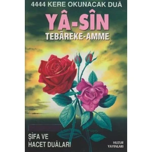 Ya-Sin Tebareke - Amme