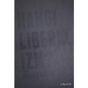 Hangi Liberalizm?