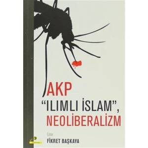 AKP Ilımlı İslam, Neoliberalizm