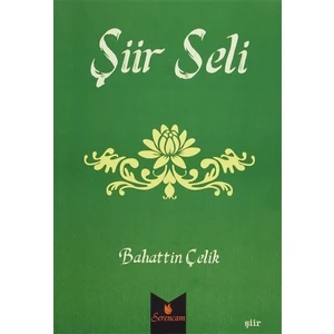 Şiir Seli