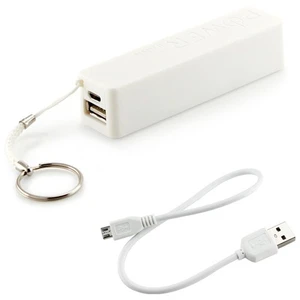 Taşınabilir Şarj Cihazı Power Bank (2600 mAh)