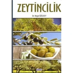Zeytincilik