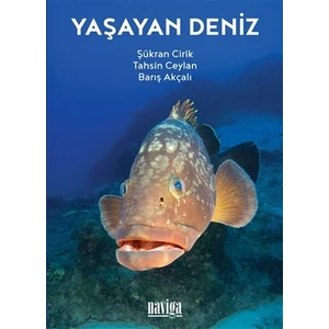 Yaşayan Deniz