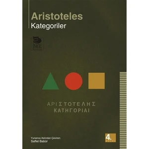 Kategoriler
