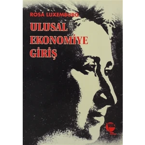 Ulusal Ekonomiye Giriş