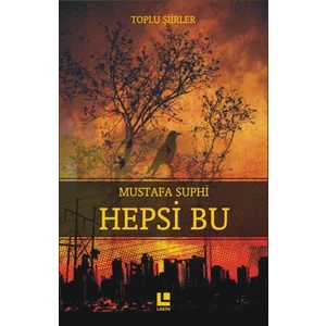 Hepsi Bu