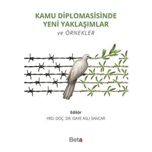 Kamu Diplomasisinde Yeni Yaklaşımlar ve Örnekler