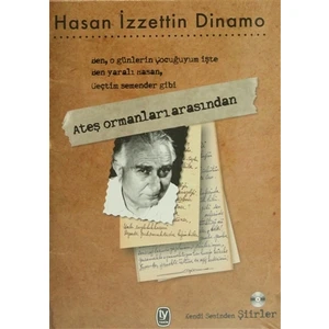Ateş Ormanları Arasından