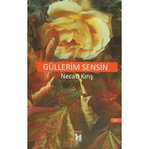 Güllerim Sensin