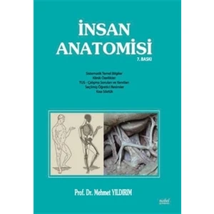 İnsan Anatomisi