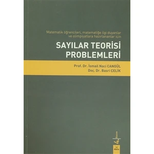Sayılar Teorisi Problemleri