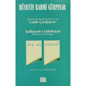 Cadı Çarpıyor Zamane Eleştirmenlerine Cevap