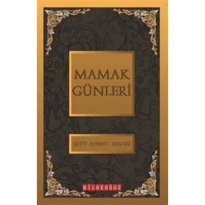 Mamak Günleri - S. Ahmet ARVASİ