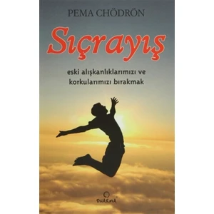 Sıçrayış