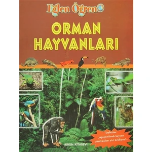 Orman Hayvanları