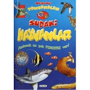 Meraklı Pencereler - Sudaki Hayvanlar