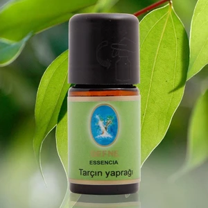 Nuka Yağ Tarçın Yaprağı 5 Ml Aromatik Cilt Bakım Ve Masaj Yağı