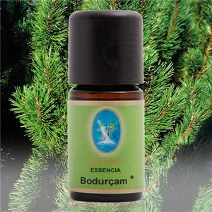 Nuka Defne Bodur Çam Yağı 5 Ml Aromatik Cilt Bakım Nuka Yağ