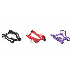 WonderfullPet St1210 Boyun/Beden Tasması